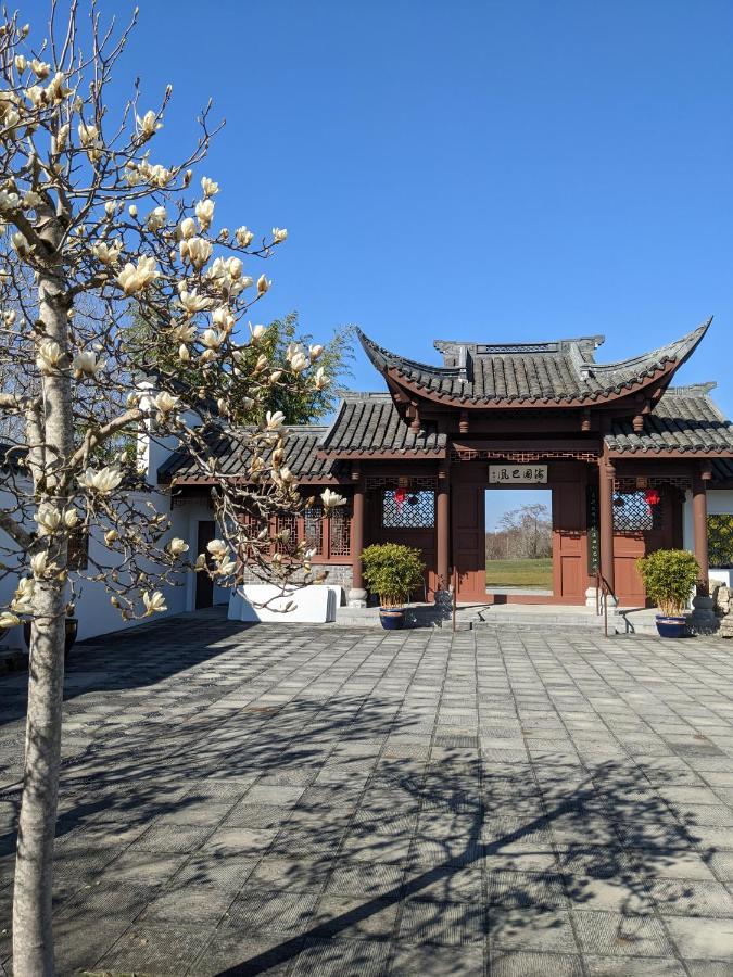 High Point Guesthouse - Next To Seattle Chinese Garden Экстерьер фото