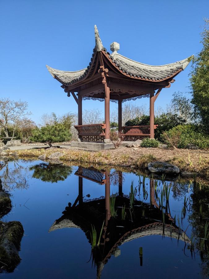 High Point Guesthouse - Next To Seattle Chinese Garden Экстерьер фото